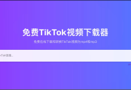 ssstikcdn：在线TikTok视频下载助手，支持无水印 / 高清 / 转音频