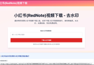 小红书(RedNote)视频下载器，在线小红书视频/图片无水印解析下载